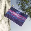 Stunning Genderfluid Flag Celebrating LGBTQ Pride and Inclusivity - Image 6