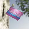 Proudly Fly the Transgender Flag - A Symbol of Pride and Inclusivity - Image 11
