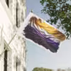 Non-binary Flag 2