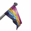Buy Pansexual Flag | LGBTQ+ Pride Flags - 1 - Image 15