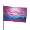 Proudly Fly the Transgender Flag - A Symbol of Pride and Inclusivity - Image 9