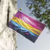 Buy Pansexual Flag | LGBTQ+ Pride Flags - 1 - Image 6