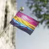 Buy Pansexual Flag | LGBTQ+ Pride Flags - 1 - Image 11