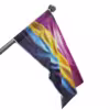 Buy Pansexual Flag | LGBTQ+ Pride Flags - 1 - Image 10
